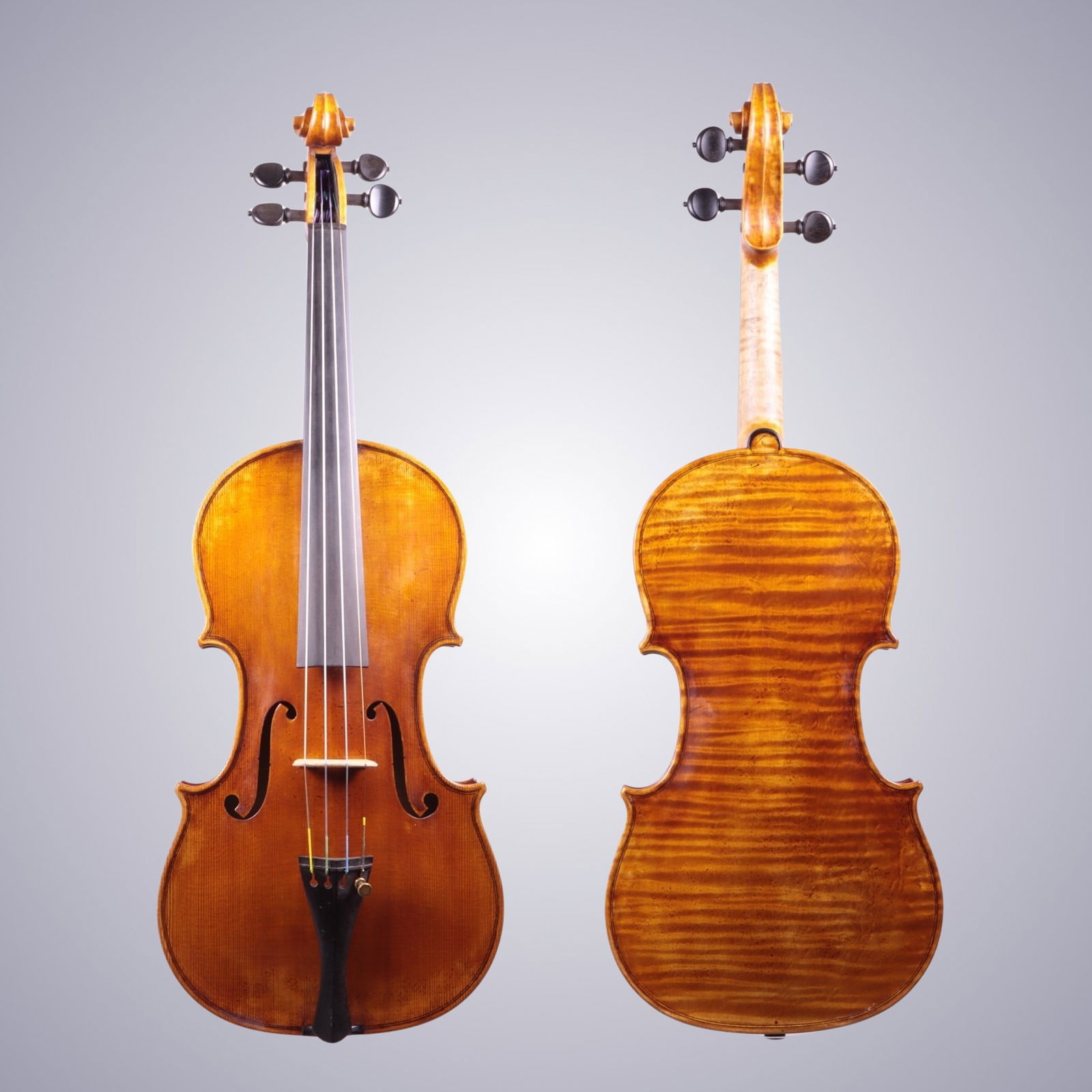 A VIOLIN BY BENJAMIN LEE (1 of 14)