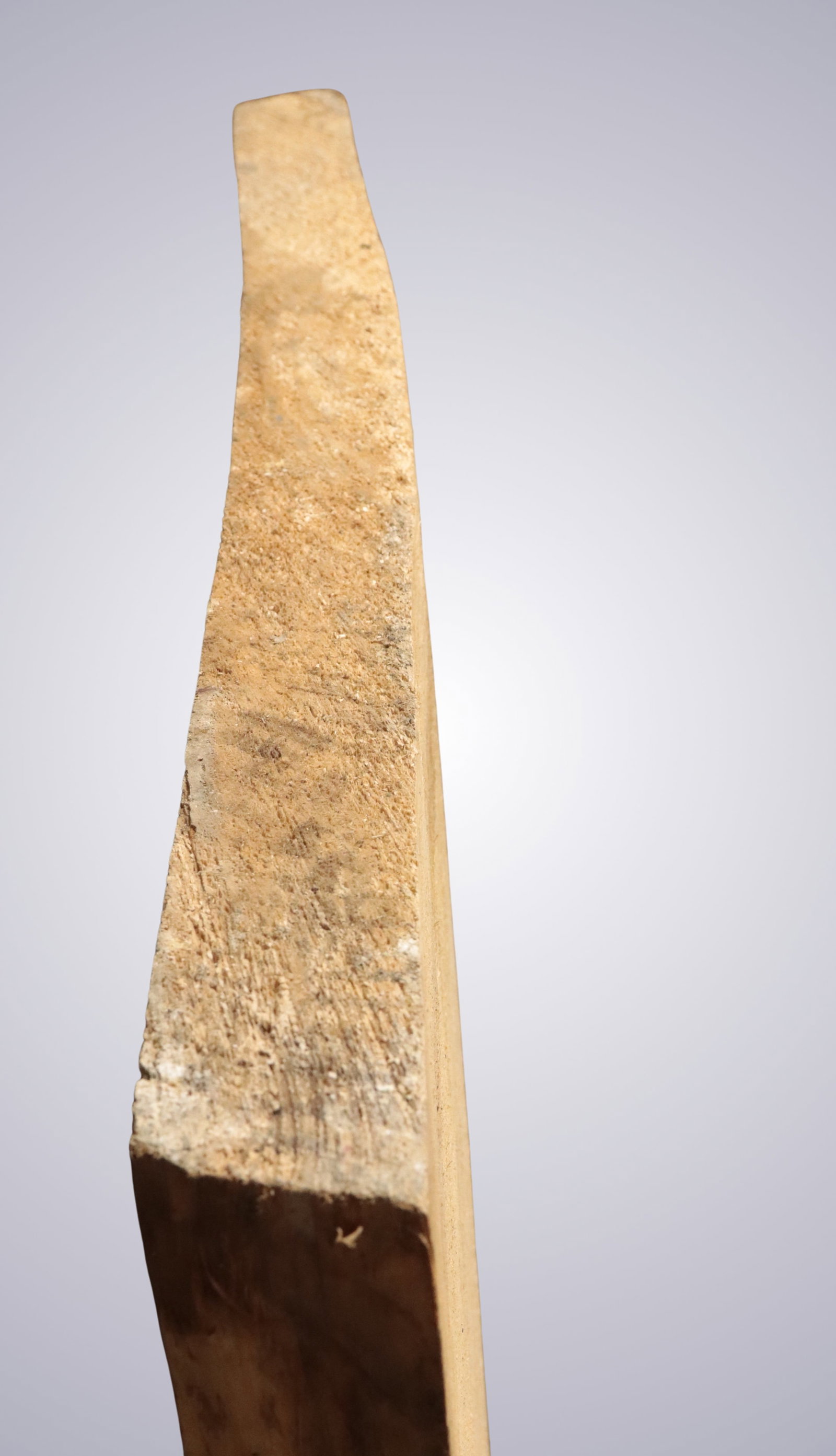 AN OLD POPLAR BLOCK - 15