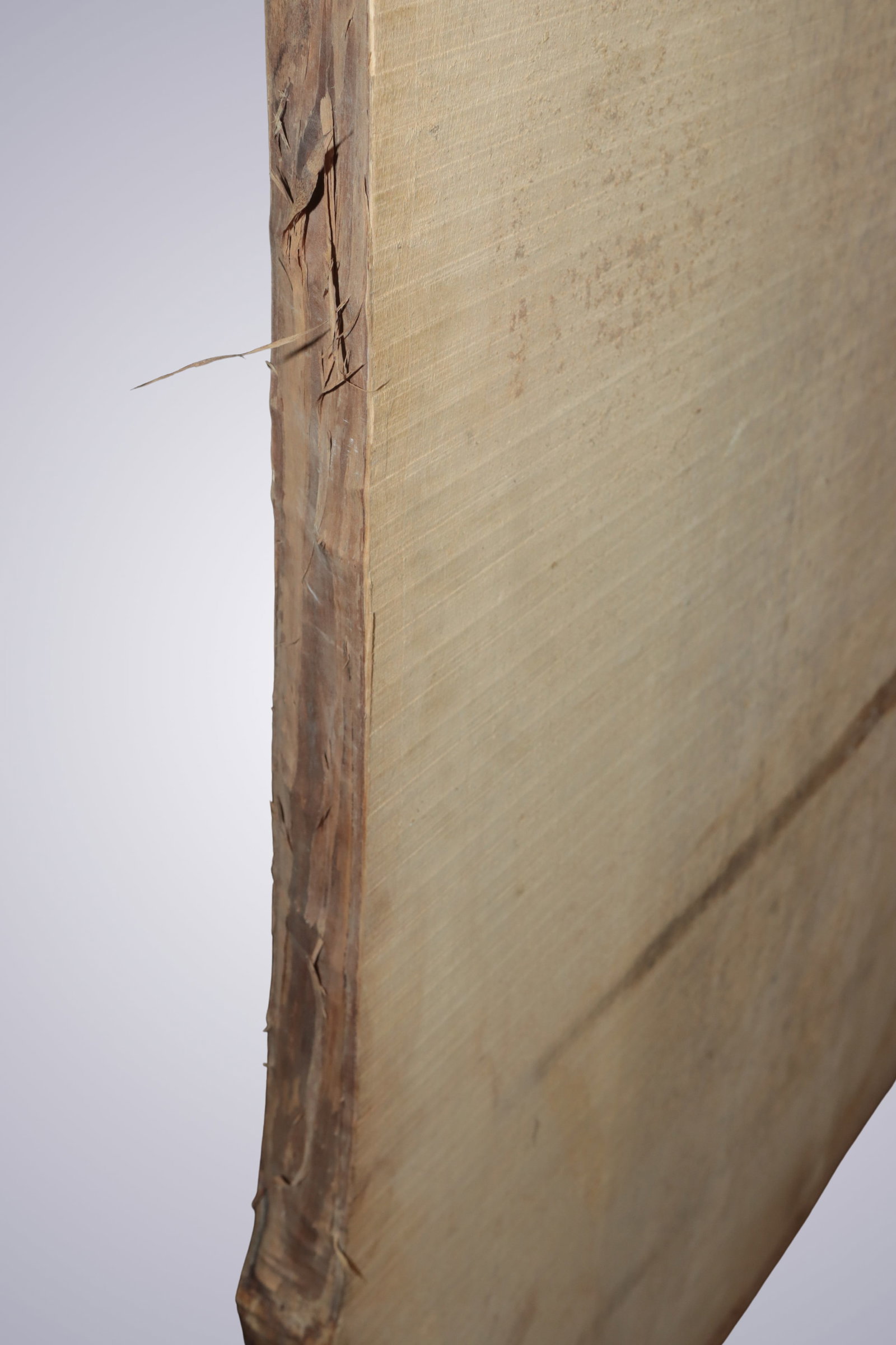 AN OLD POPLAR BLOCK - 16