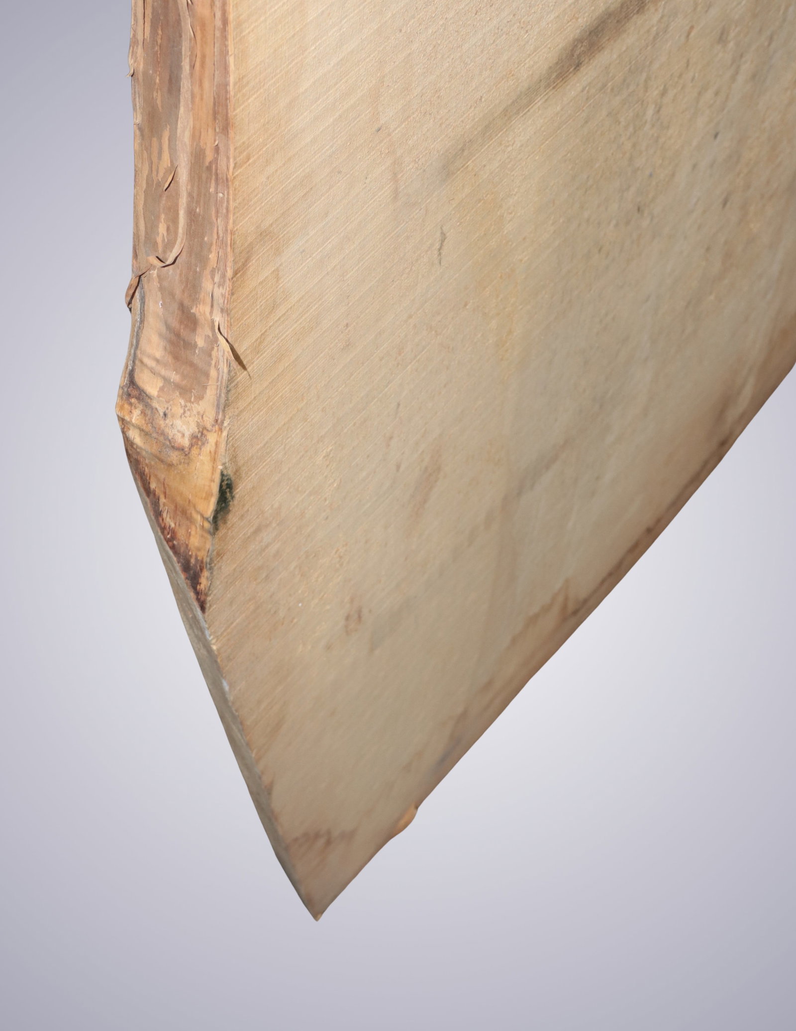 AN OLD POPLAR BLOCK - 18
