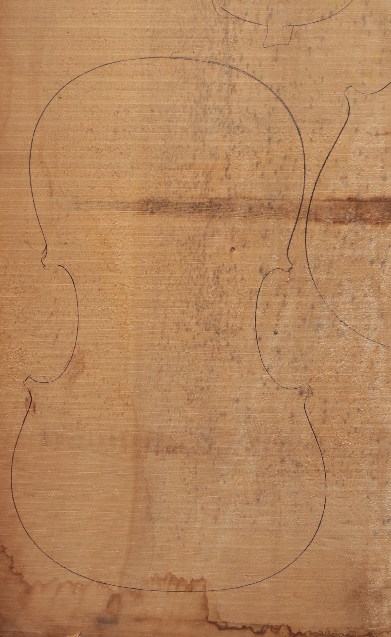 AN OLD POPLAR BLOCK - 2