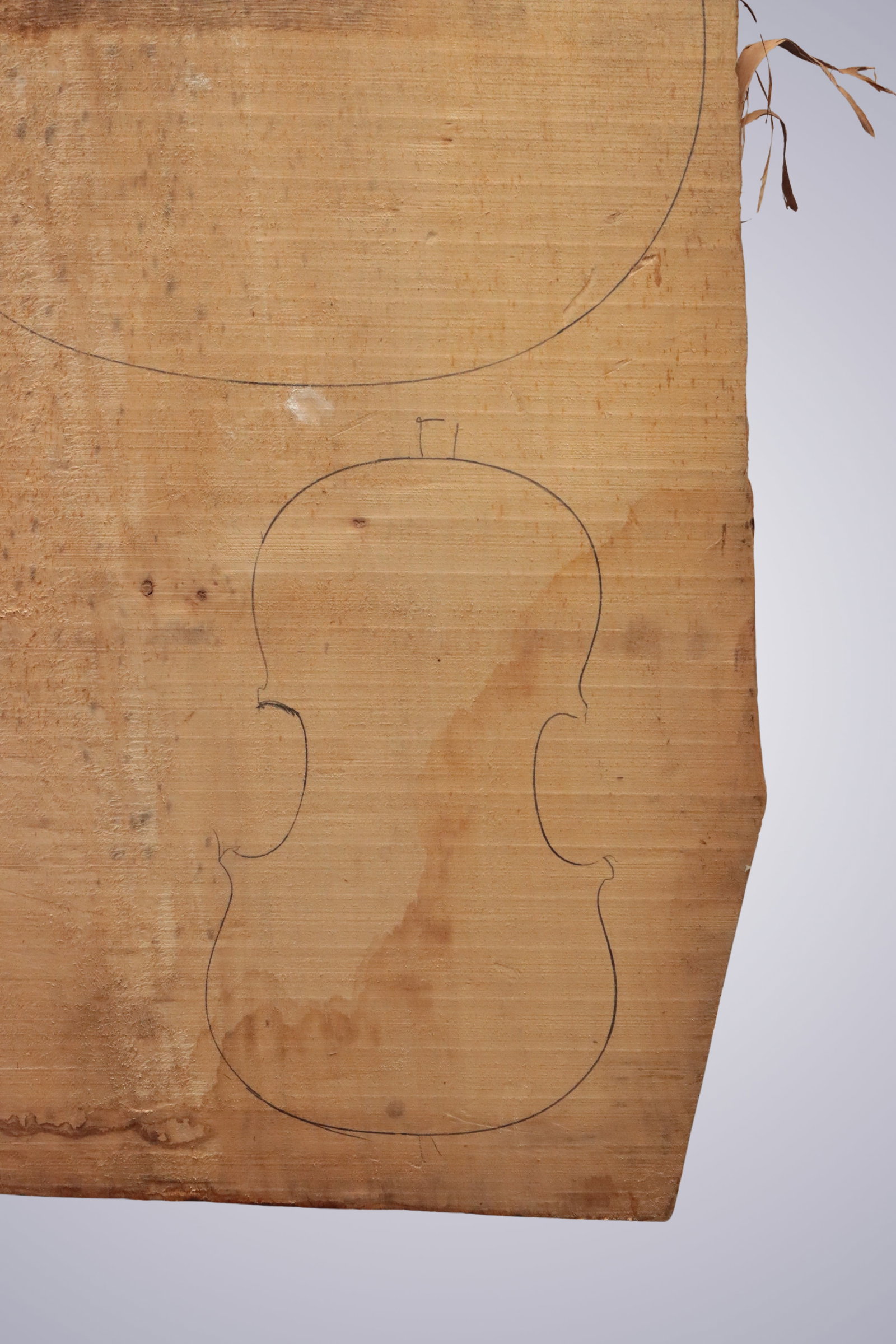 AN OLD POPLAR BLOCK - 3