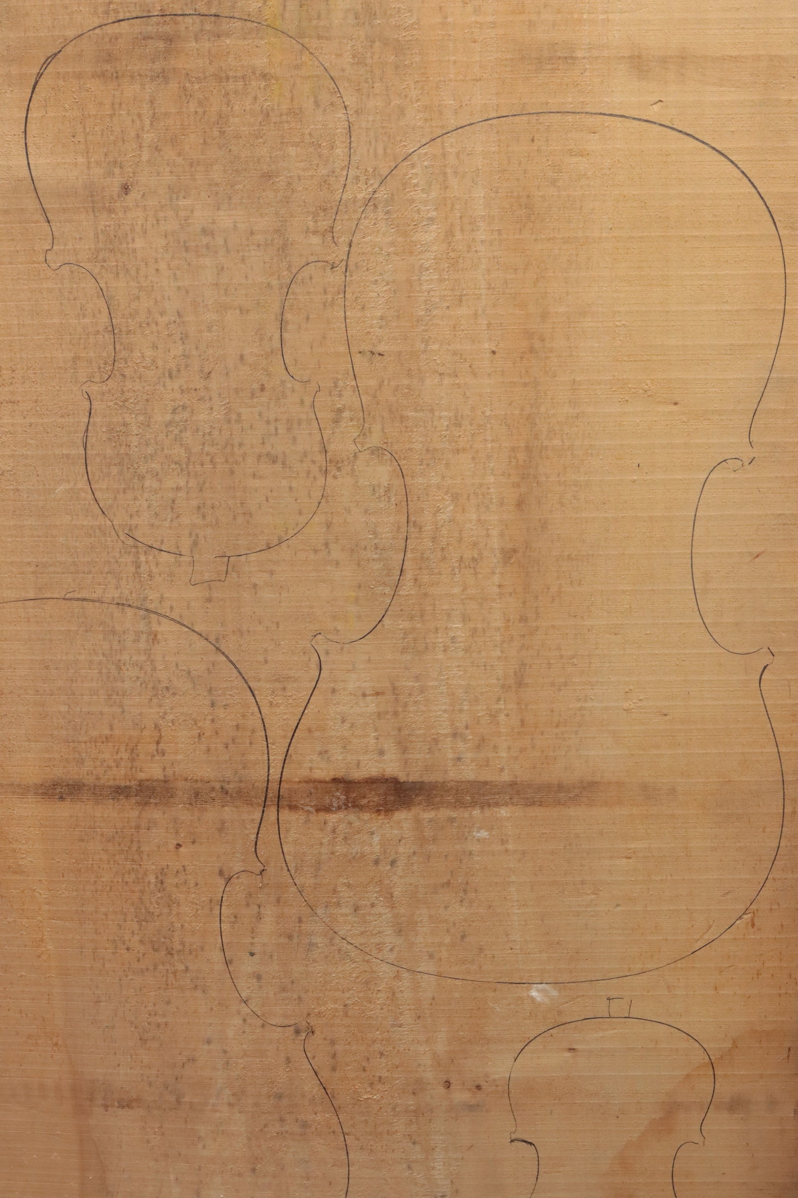 AN OLD POPLAR BLOCK - 4