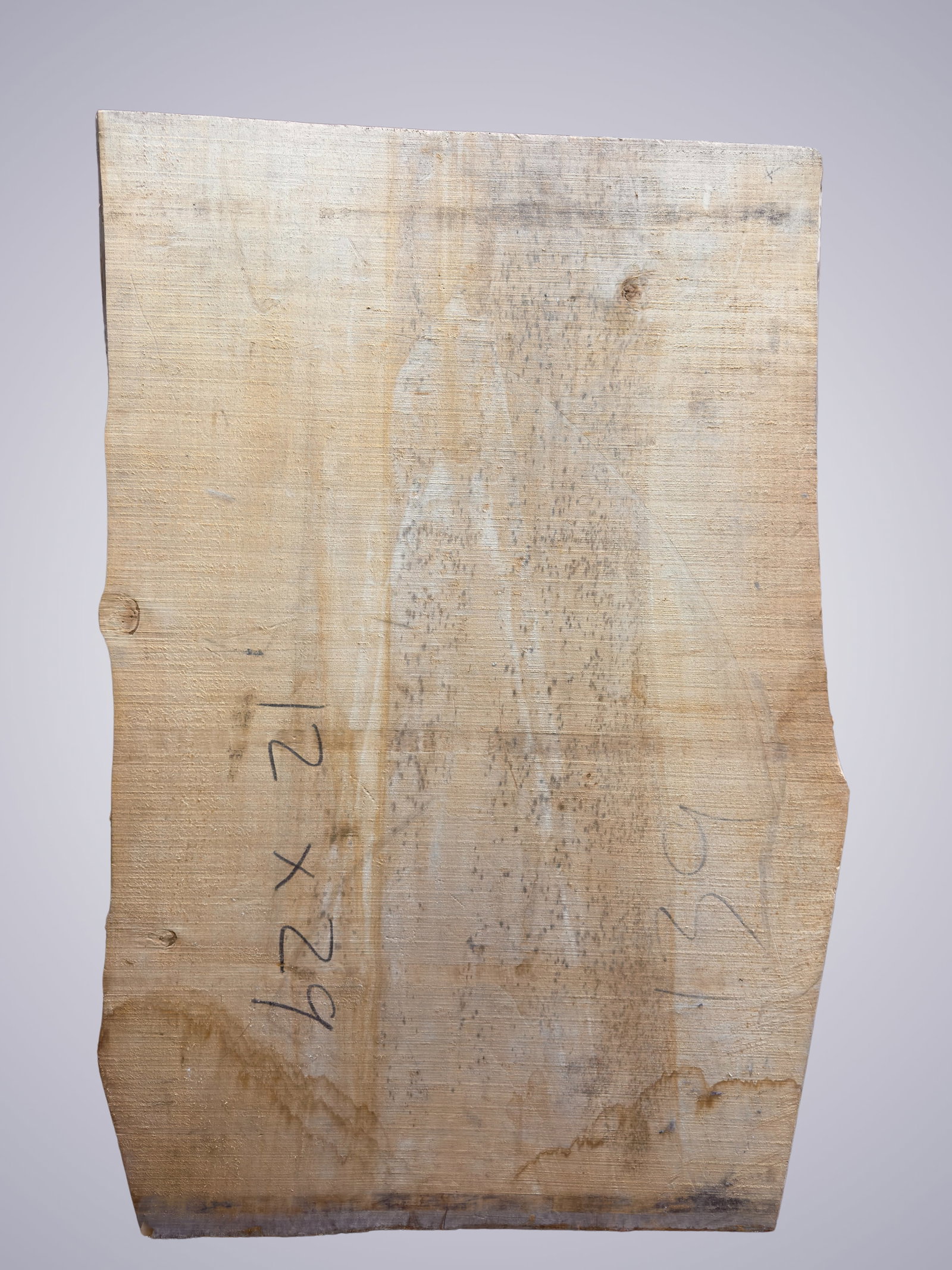AN OLD POPLAR BLOCK - 6