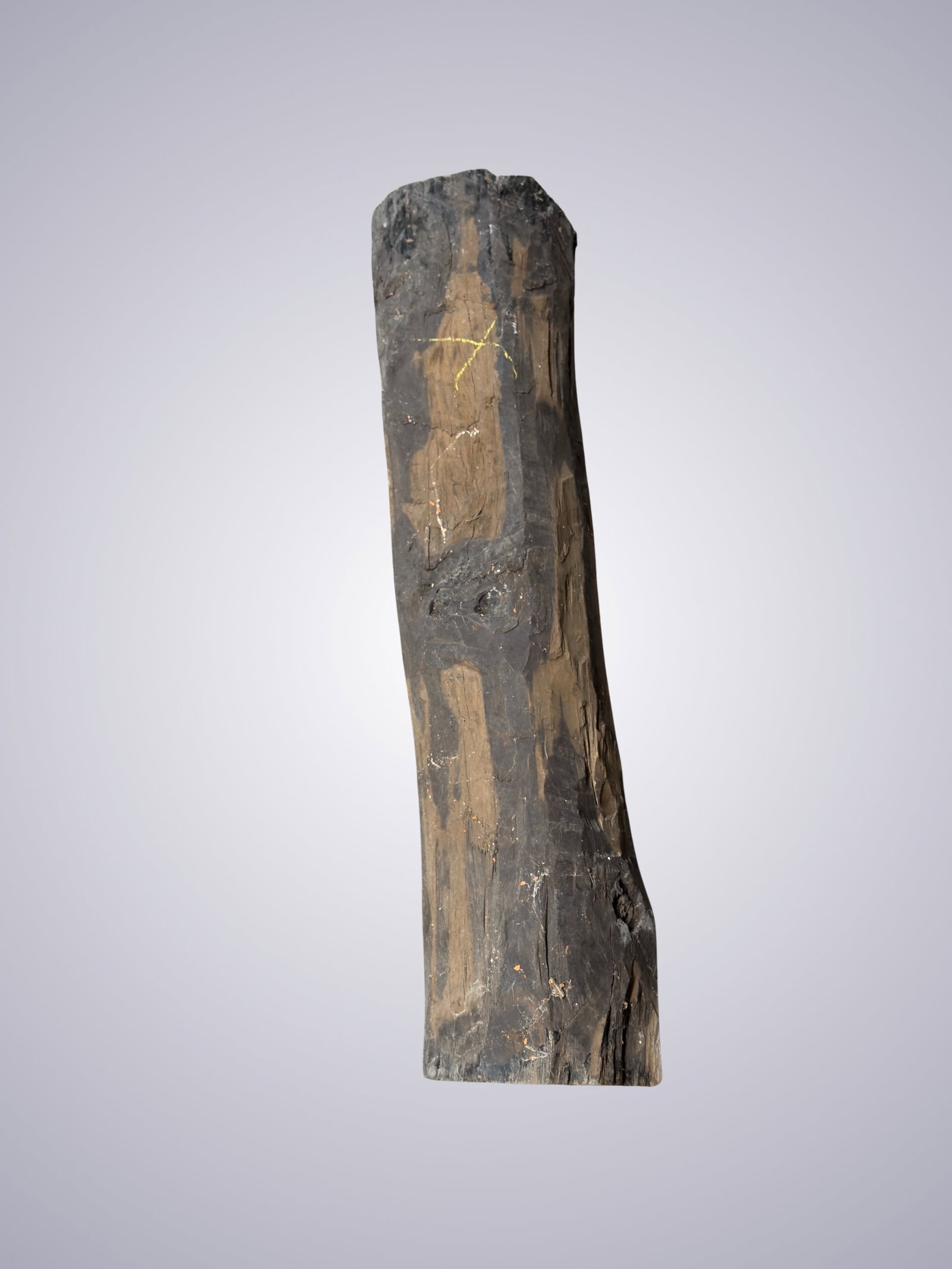 AN OLD PERNAMBUCO LOG - 11