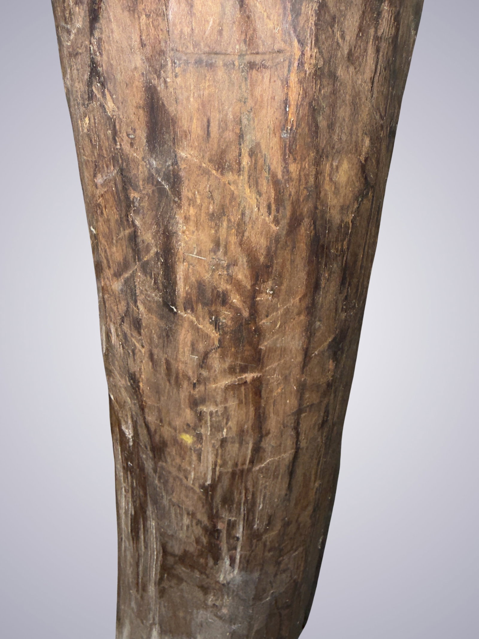 AN OLD PERNAMBUCO LOG - 12