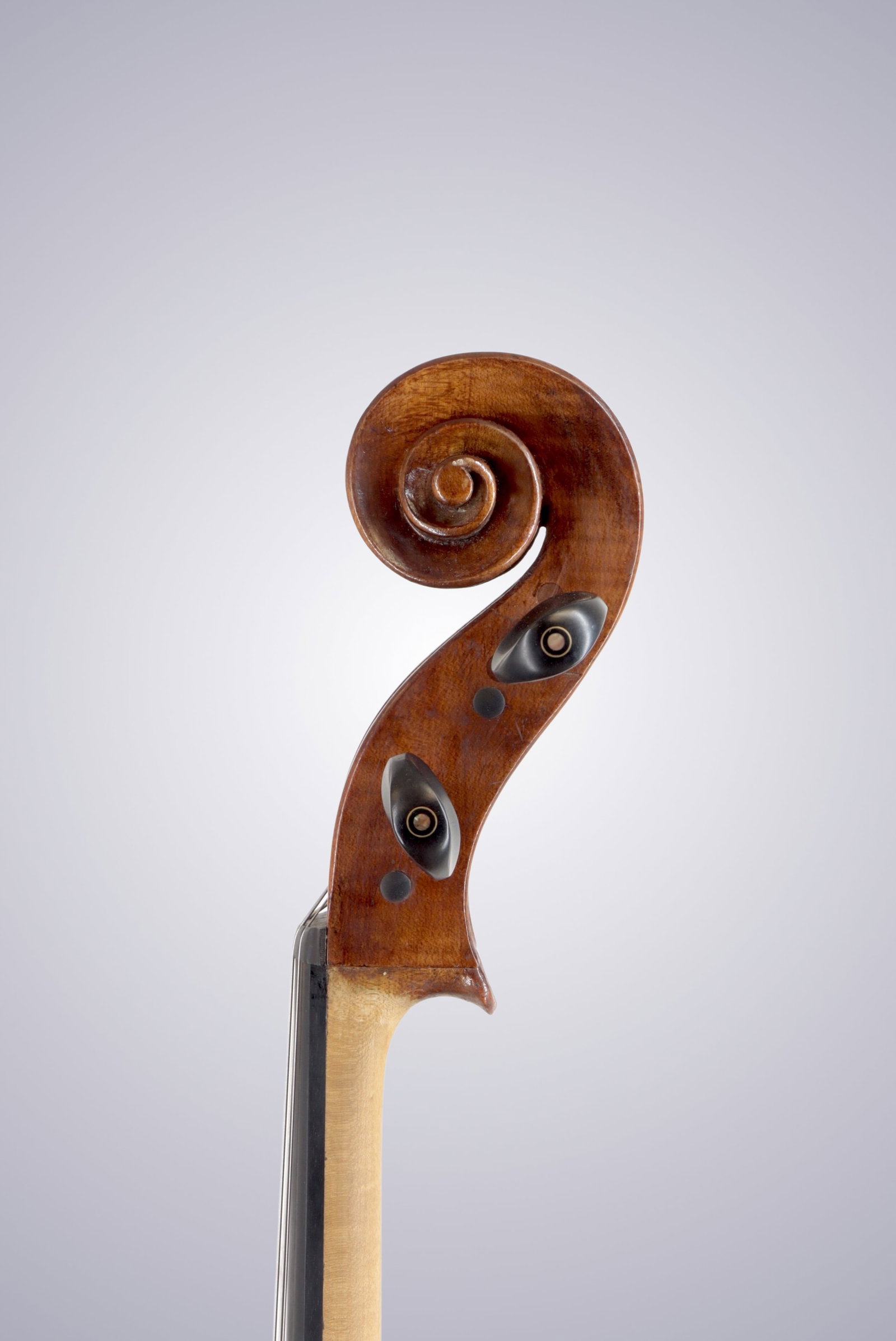 A CELLO LABELED RIVEDUTO DA VINCENZO ANNARUMMA 1989 - 7