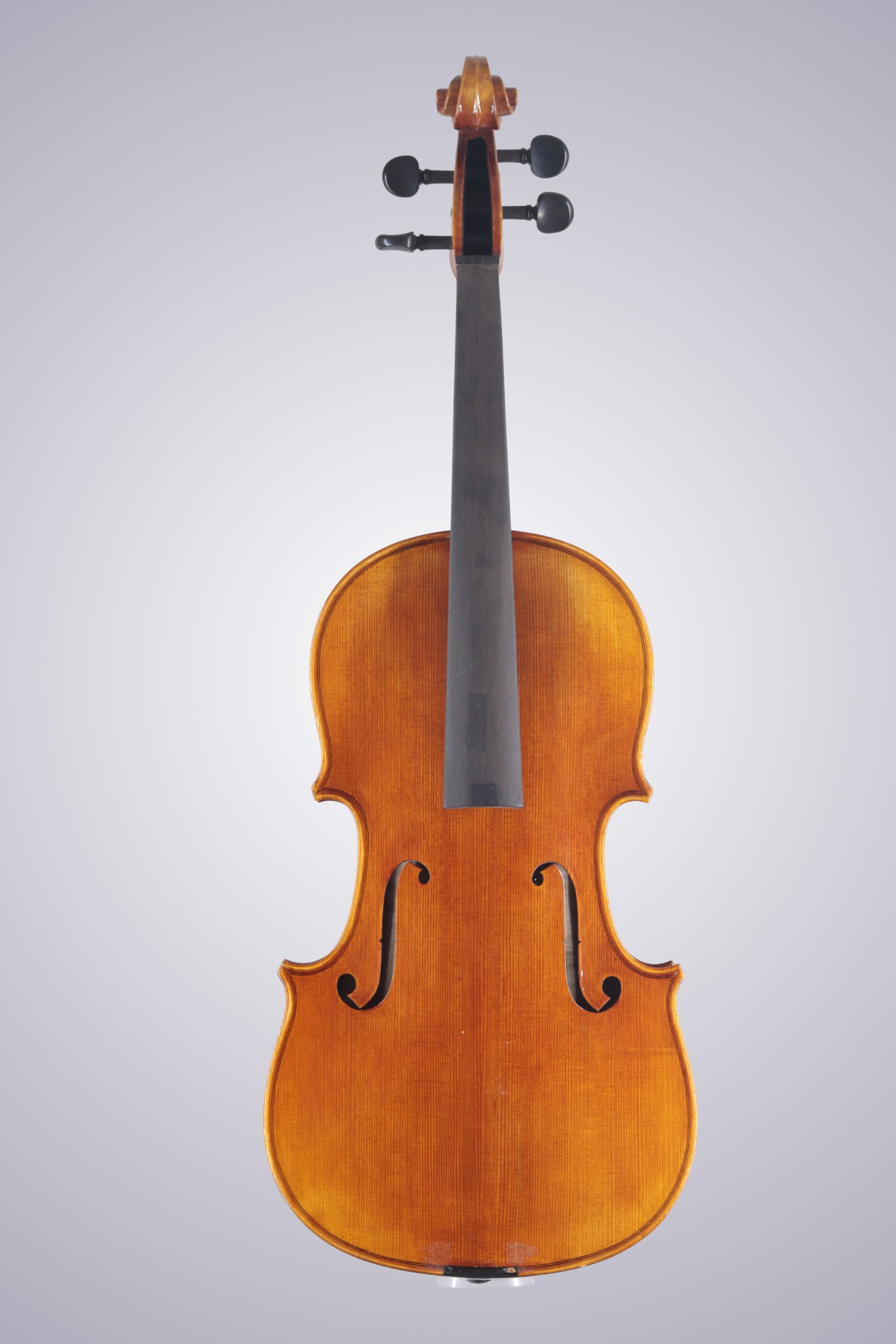 A MODERN VIOLA - 2