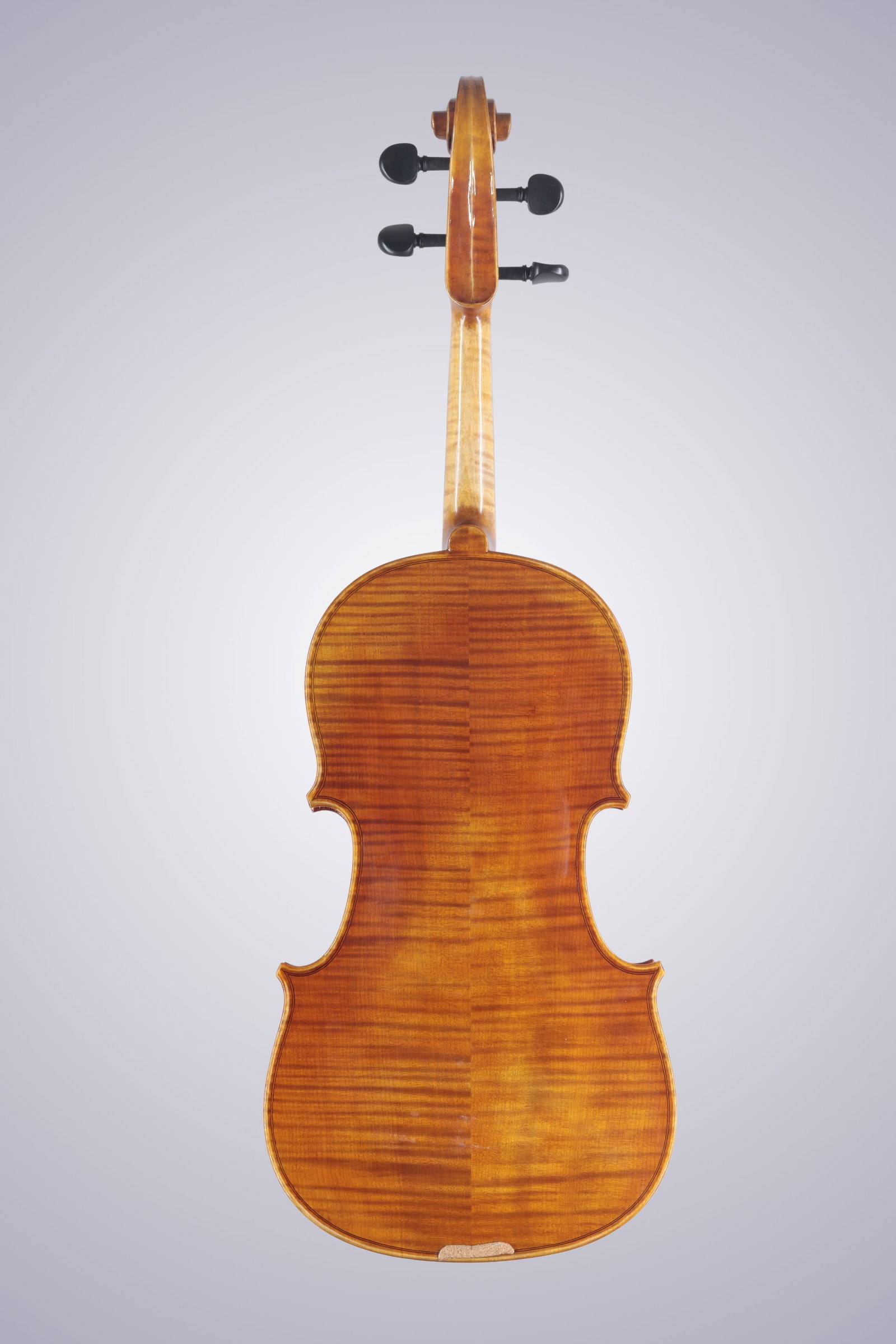 A MODERN VIOLA - 5