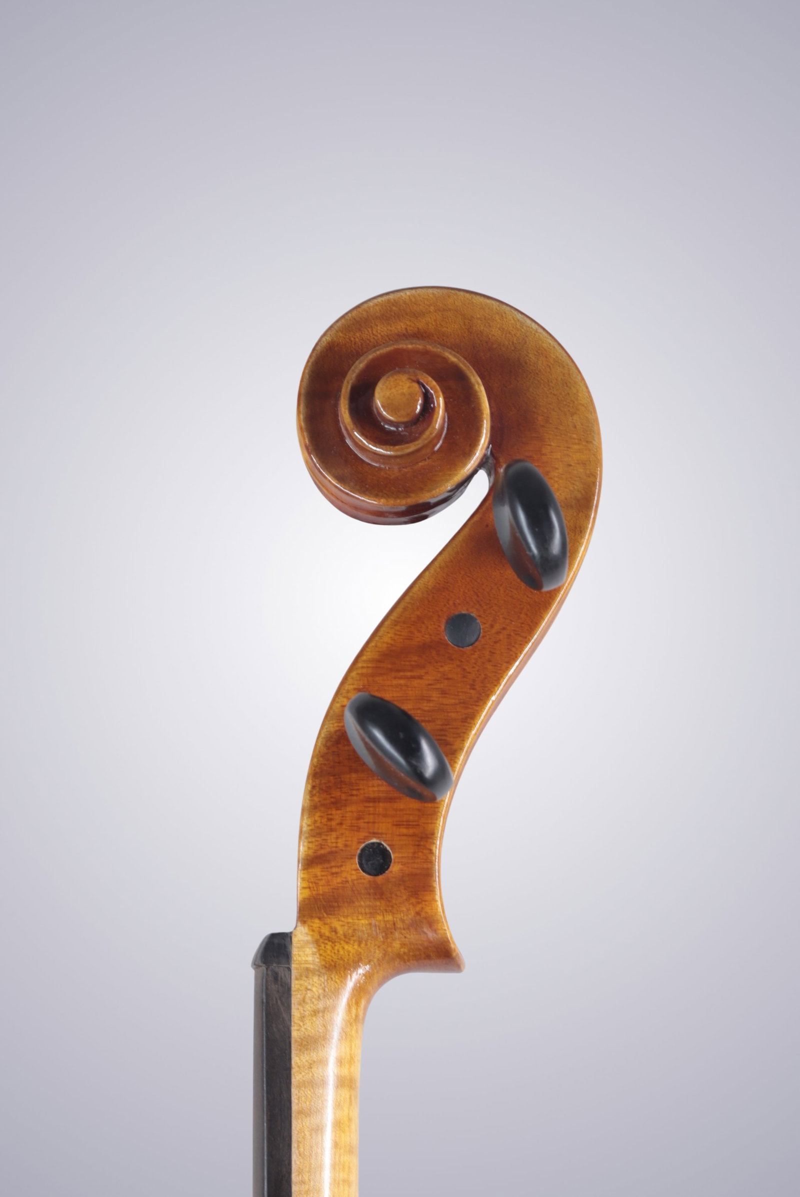 A MODERN VIOLA - 6