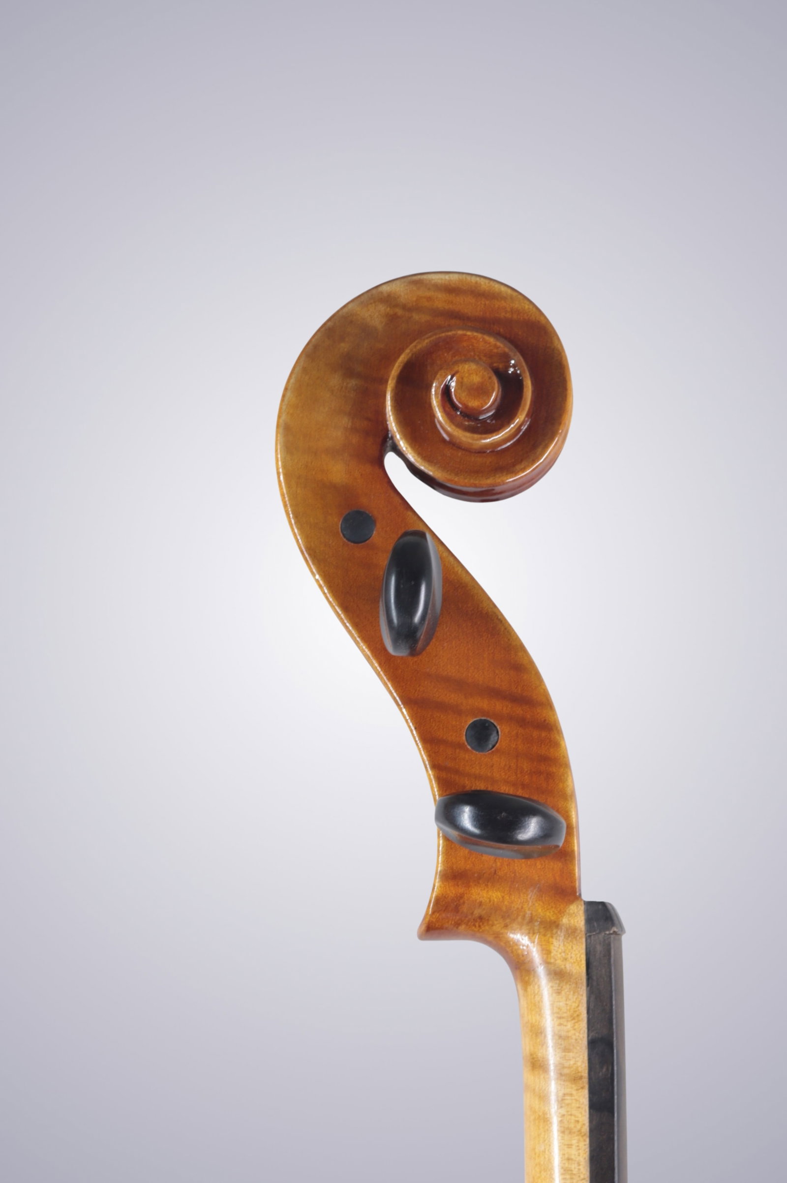 A MODERN VIOLA - 7