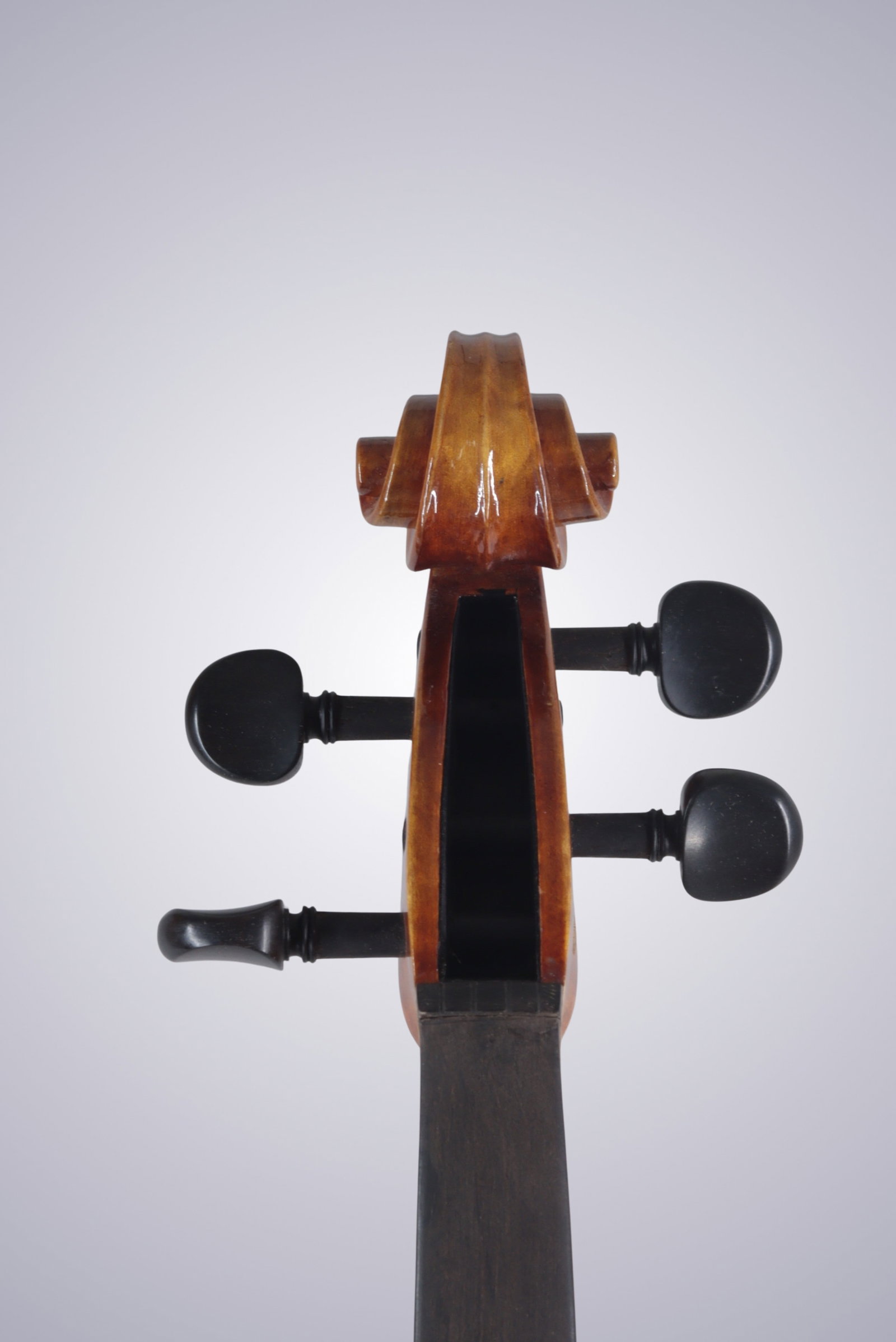 A MODERN VIOLA - 8