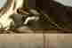 item-91873556=3