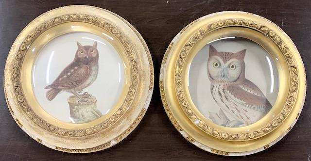 Pr. of Owl Pics in Vintage 17" Round Convex Frames (1 of 13)