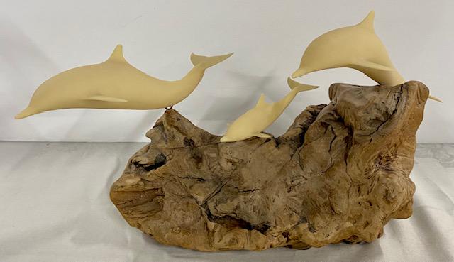 John Perry Dolphin (1 of 6)