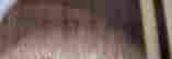 item-134356678=7