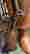 item-137058626=16