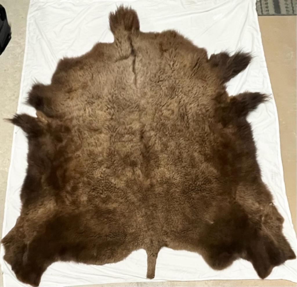 American Buffalo Hide Rug (1 of 13)