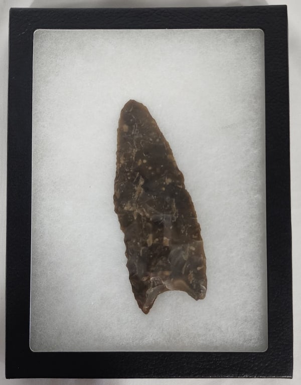 Large Arrowhead Artifact in display box (1 of 4)
