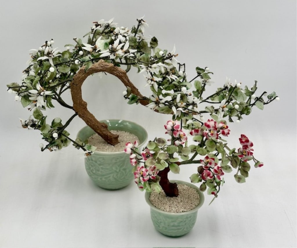Pair of Jade Trees (1 of 11)