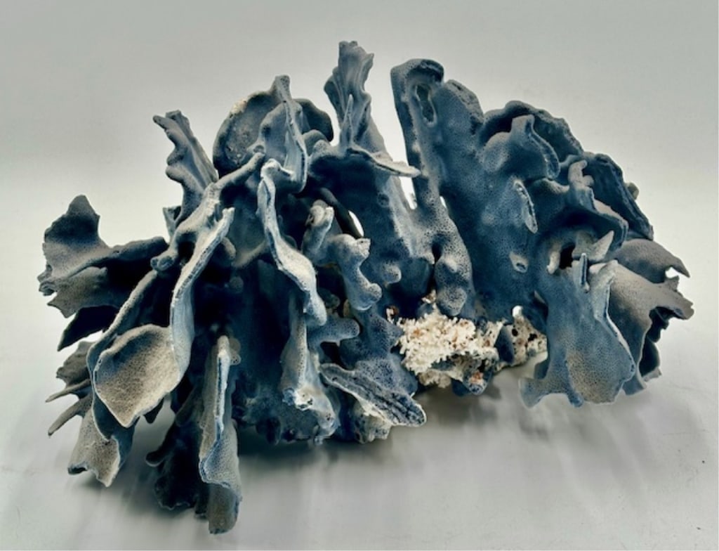 Vintage Blue Ridge Coral (1 of 9)