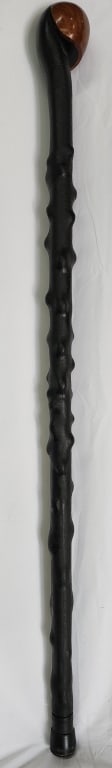 Vintage Blackthorn Walking Stick (1 of 5)