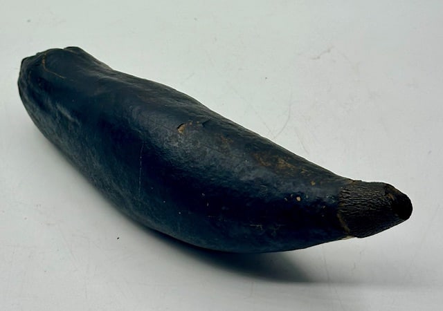9" Fossil Sperm Whale Tooth: 9" fossil sperm whale tooth. Photos are considered part of the condition and description. R