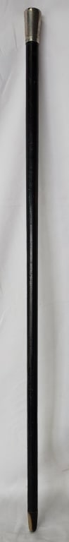 Sterling Silver and Horn Cane/Walking Stick (1 of 7)