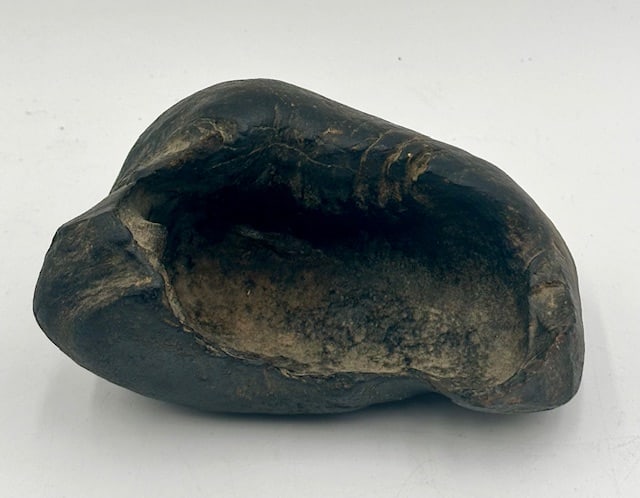 Fossilized Sperm Whale Tympanic(Ear) Bone: Sperm whale tympanic (ear) bone fossil. Approximately 3"h x 5.5"w. Photos are considered part of the condition and description. R