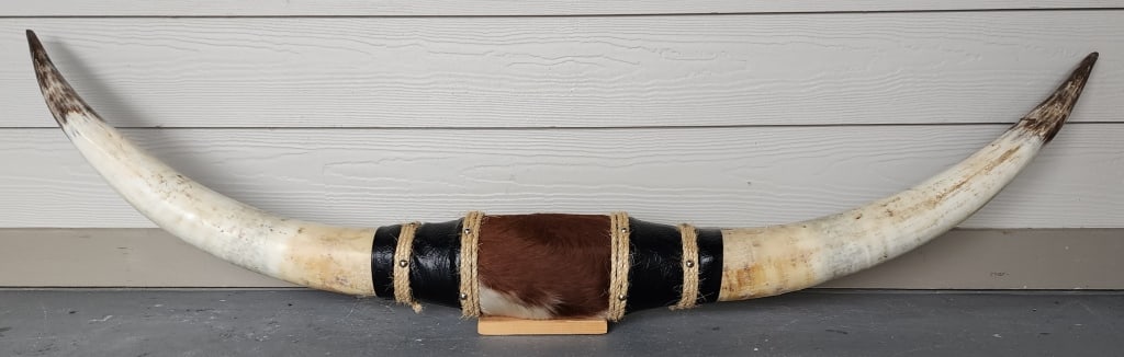Mounted Longhorn Steer Horns Wall Hanging (1 of 5)