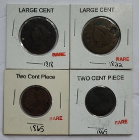 US Two Cent Pieces & Large Cents