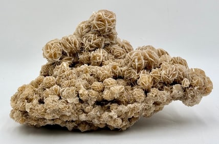 Desert Rose Selenite Frosted Crystal Cluster