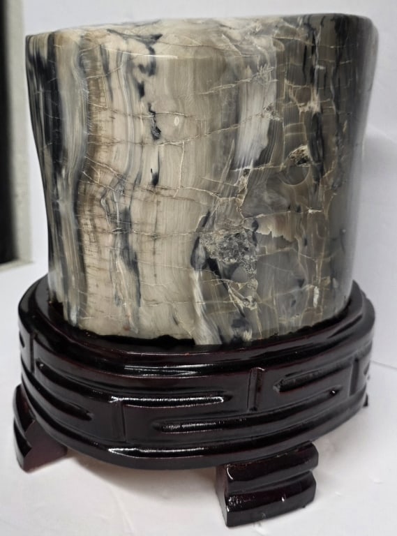 Lg. Polished Petrified Wood (1 of 10)