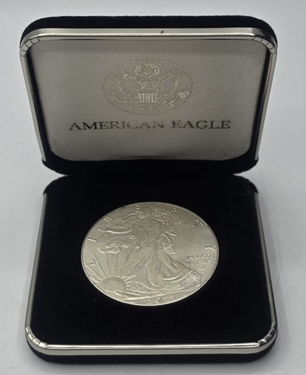 2023 American Silver Eagle Coin (1 of 5)