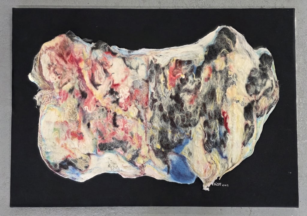 Elise Newman Contemporary Mixed Media Artwork: Elise Newman contemporary mixed media artwork. Features a textured, organic form composed of fibrous or fabric materials mounted on a solid black canvas. Signed. Approximately 25"h x 36"w. Photos are 