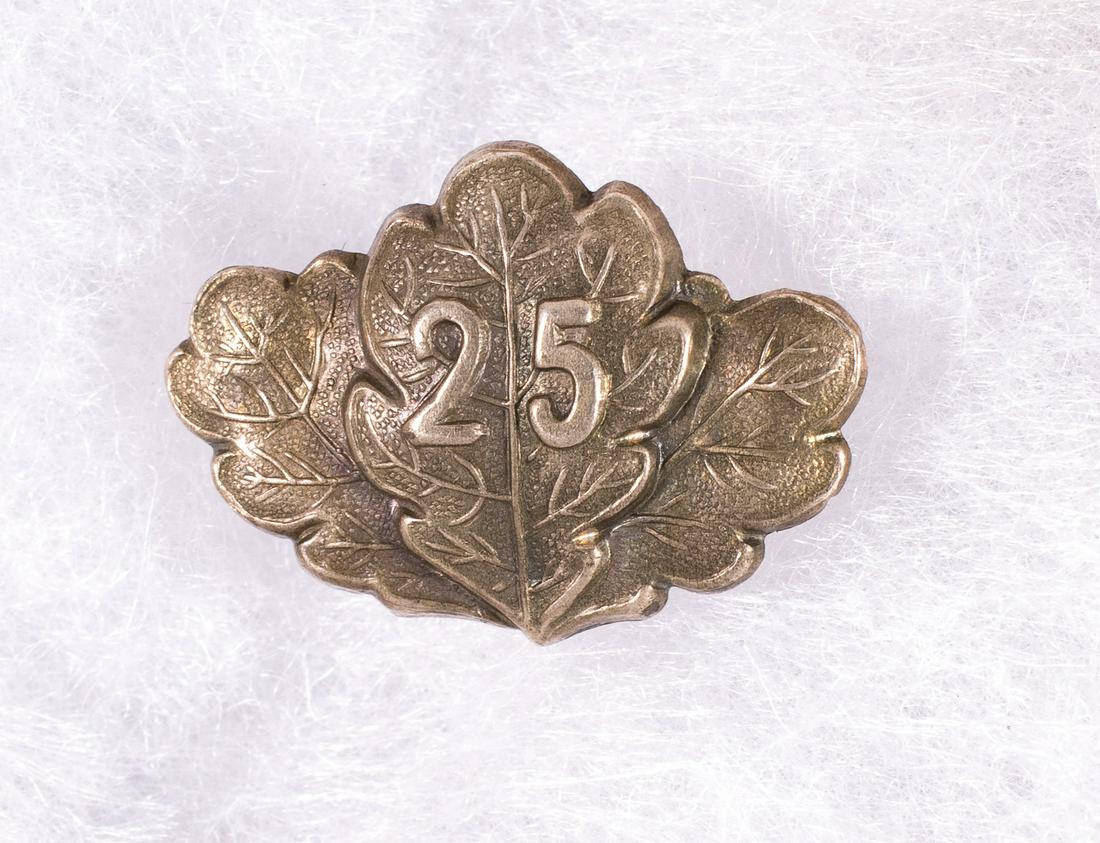 OAKLEAVES OF THE 1870 IRON CROSS: Oakleaves of the 1870 Iron Cross in silvered metal with two straight pins, no maker mark, very good oakleaves.