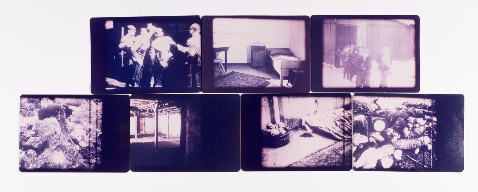 7 CONCENTRATION CAMP PHOTOS: Lot of seven concentration camp photos, including pictures of children being led out of a barn, dead bodies being stacked to burn, along with decapitated bodies next to a bucket of heads. Prints are 5