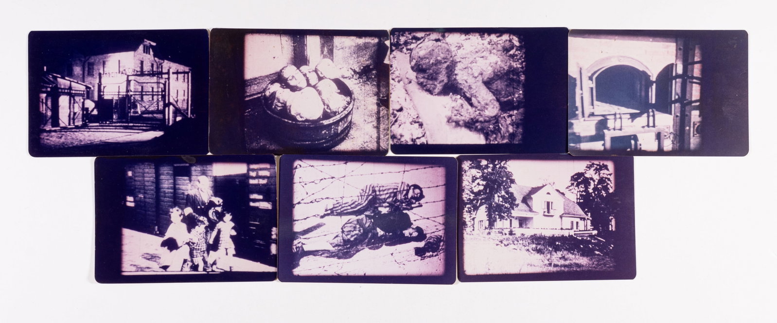 7 CONCENTRATION CAMP PHOTOS: Lot of seven concentration camp photographs, includes a photograph of the entrance to Auschwitz, a crematorium oven, a Jewish family on the train ramp, killed prisoners, a container full of decapitate