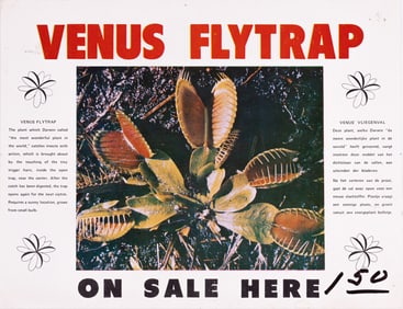 VENUS FLYTRAP ON SALE ADVERTISEMENT POSTER