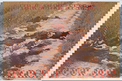 FOUR MORE YEARS ANTI NIXON / VIETNAM WAR POSTER BY RONALD HAEBERLE