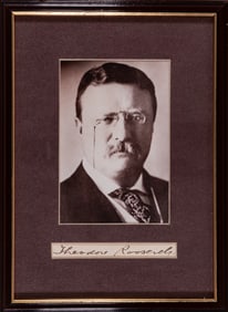 THEODORE ROOSEVELT