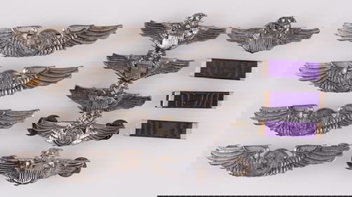 10 AMERICAN PILOT AND AIR CREW WINGS