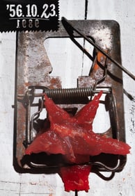 PETER POCS ANTI-COMMUNISM POSTER (1989)