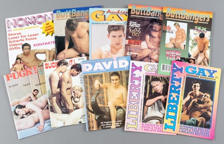 TEN ADULT GAY MAGAZINES
