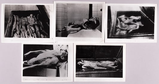 5 STRUTHOF ALBUM VICTIM PHOTOGRAPHS