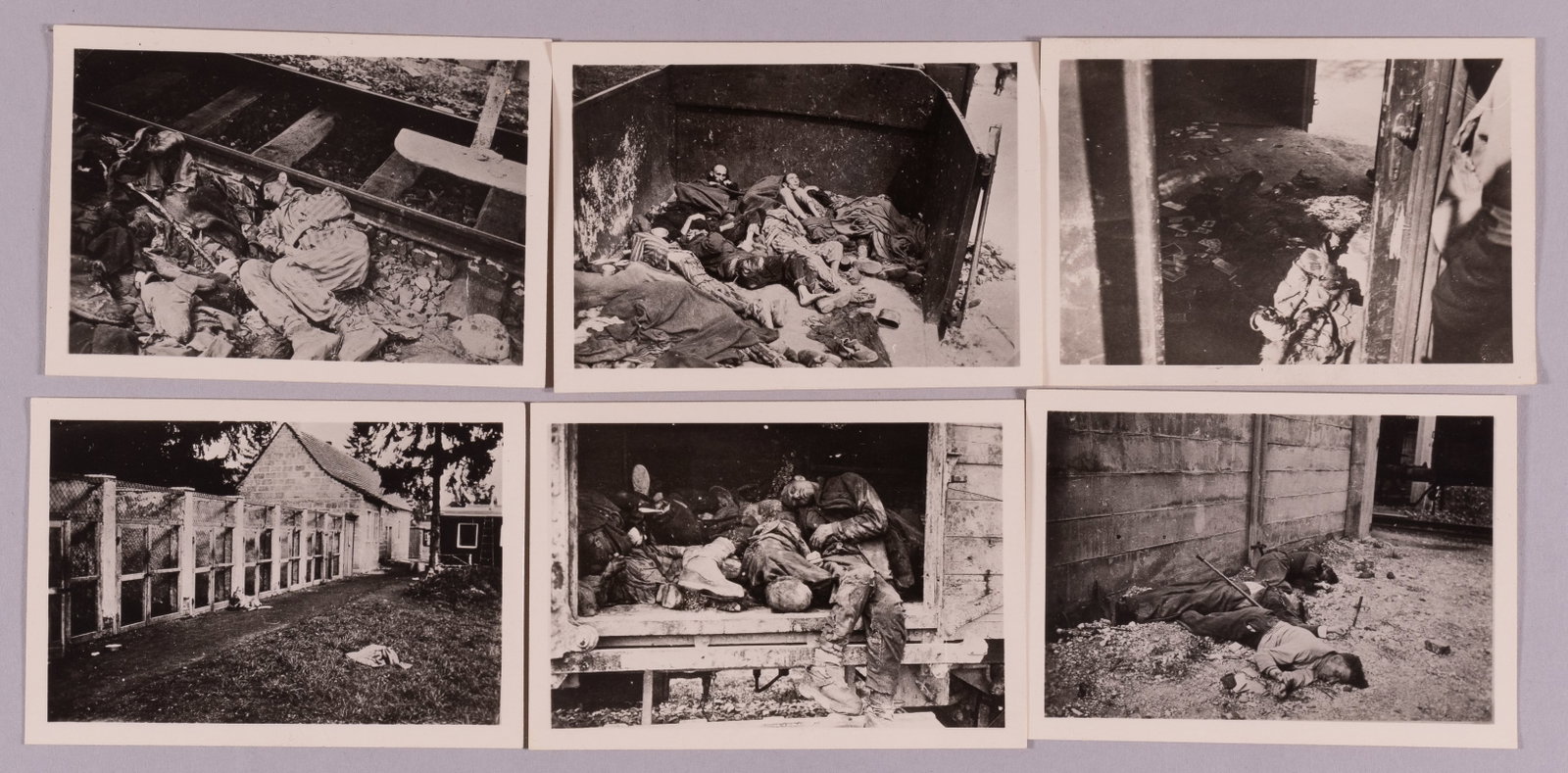 6 WWII NAZI ATROCITIES DACHAU KZ PHOTOGRAPHS: Six photographs from Dachau concentration camp of dead inmates in train cars, near the train tracks, the dog cages, and executed inmates near a wall. As found by the US Army after the liberation of th