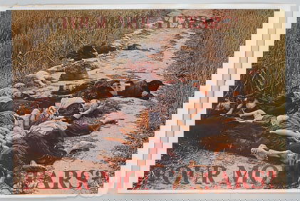 FOUR MORE YEARS ANTI NIXON / VIETNAM WAR POSTER BY RONALD HAEBERLE