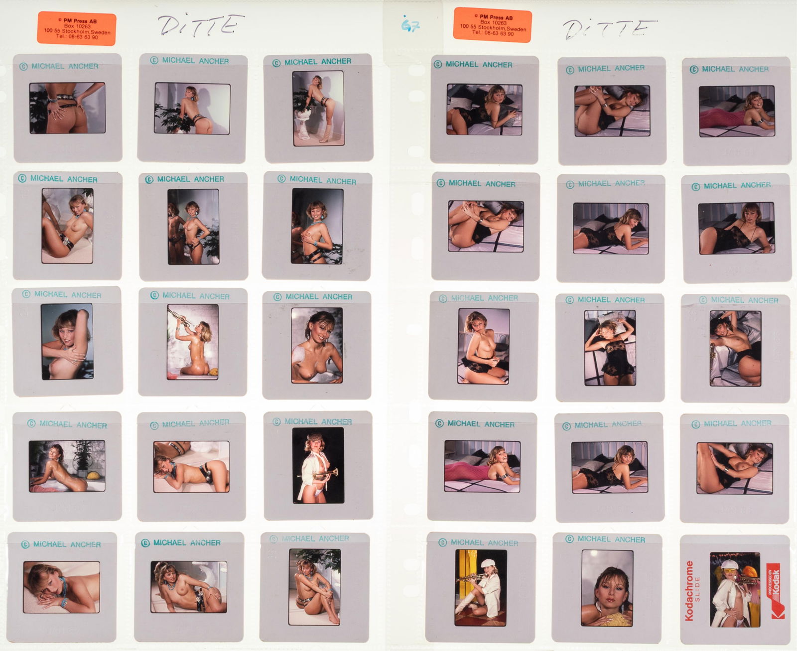 103 Vintage Erotic Female Nude Photo Slides Nude Adult Slides