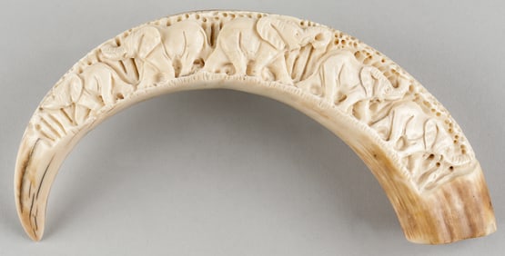 AFRICAN CARVED WARTHOG IVORY TUSK