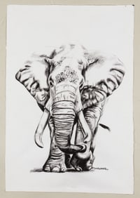 7 AFRICAN DRAWINGS ON CLOTH